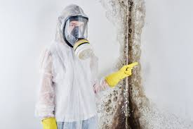 Best Mold Removal for HVAC Installations in Dodgeville, WI